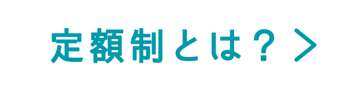 定額制とは？
